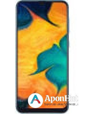 Samsung Galaxy A30 Phone (Used)