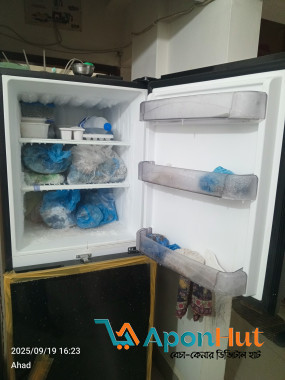 Walton refrigerator-WFE-3B0-GDEN-DD (Inverter)