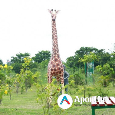 ৫ কাঠার প্লট বিক্রয় চলছে