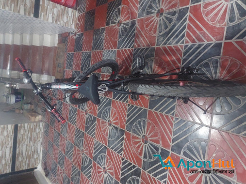 Used bicycle for sale