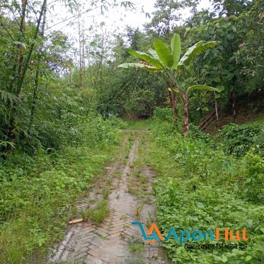 Lands for Sale in Bandarban