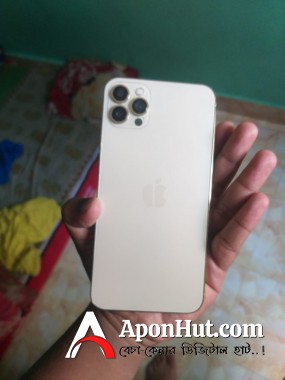 Apple iPhone XS Max Apple xs max 12 pro