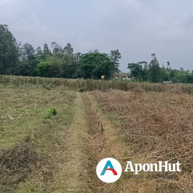 Industrial land besides dhaka - ctg highway