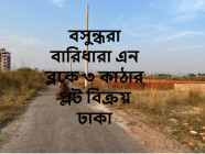বসুন্ধরা বারিধারা এন ব্লকে ৩ কাঠার প্লট বিক্রয় ঢাকা, Ready Plot For Sale Bashundhara