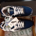 Lotto Sports shoe
