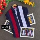 Men`s Exclusive Cotton Print Shirt