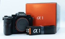 Sony Mirrorless Camera (Used)