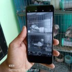OPPO A-15 Used Mobile Phone sale
