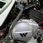 Walton Fusion