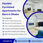 2 Room Furnished Studio Apartment RENT in Bashundhara R/A