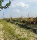 ৩ কাঠা প্লট বিক্রয় ৩ কাঠা প্লট বিক্রয়