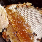 অর্গানিক মধু বিক্রি করা হয়
