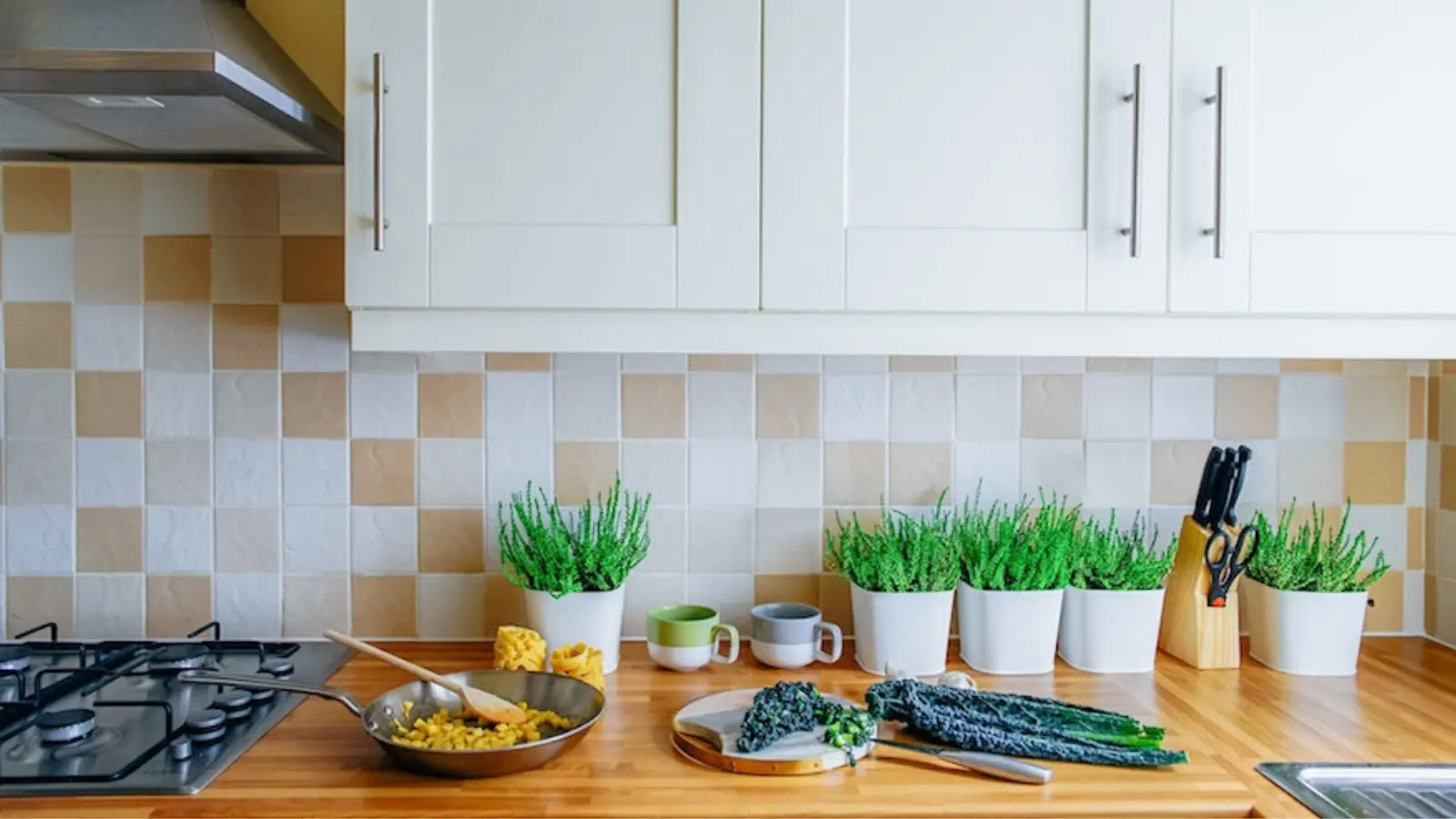 Ways to make the kitchen eco-friendly