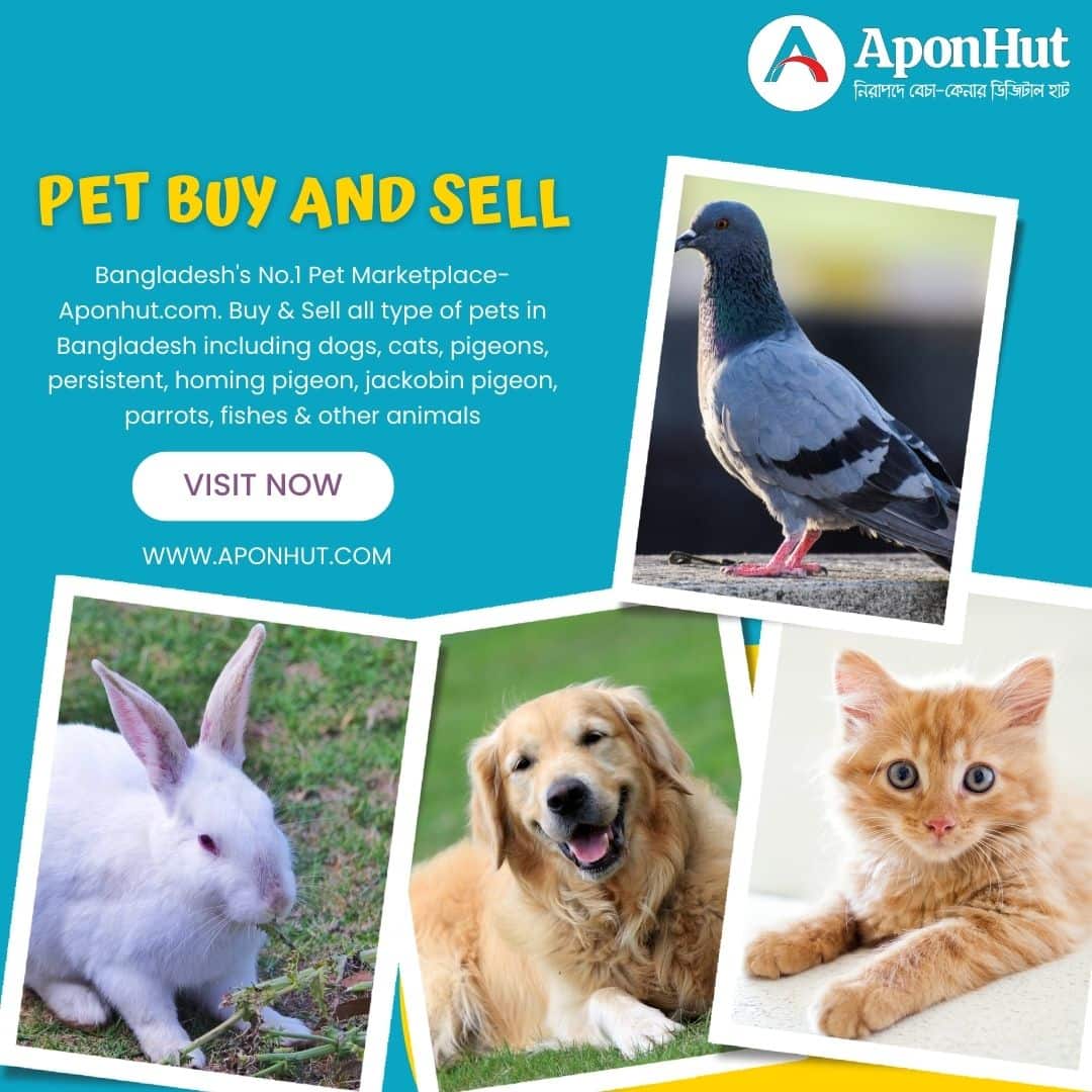 Pet Price in Bangladesh | Dogs - Cats - Birds | Aponhut.com